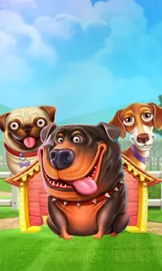 The Dog House